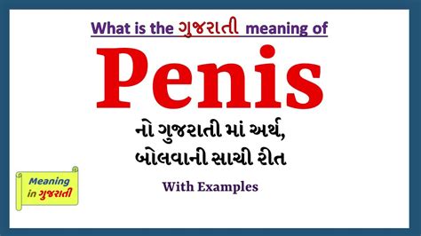 penis in gujarati|English to Gujarati Meaning of penis .